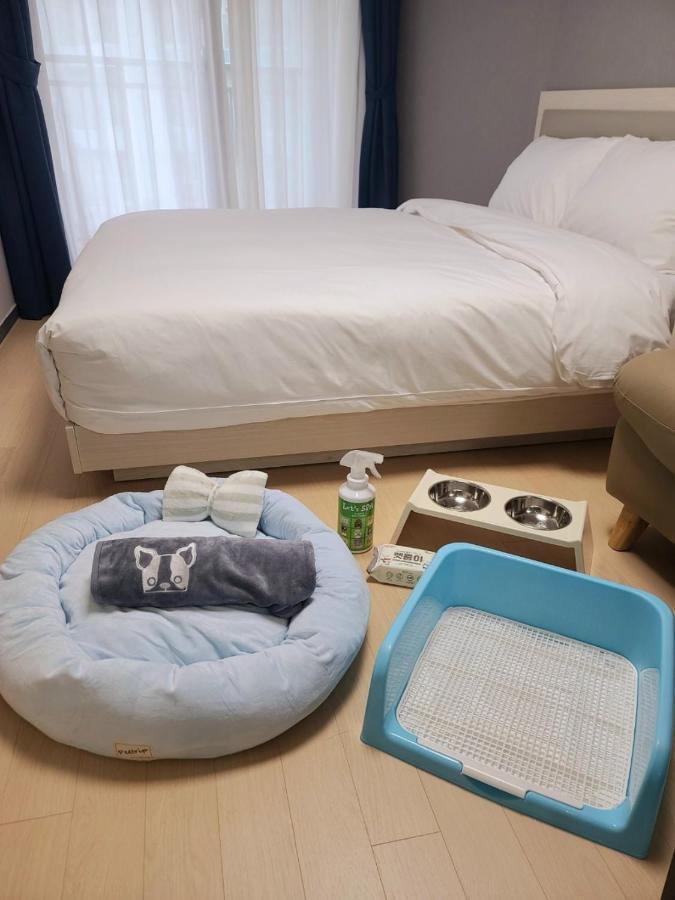 Risen Ocean Park Hotel Сокчо Екстериор снимка